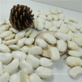 High Quality Beans And Grains White Kidney Beans For Sale